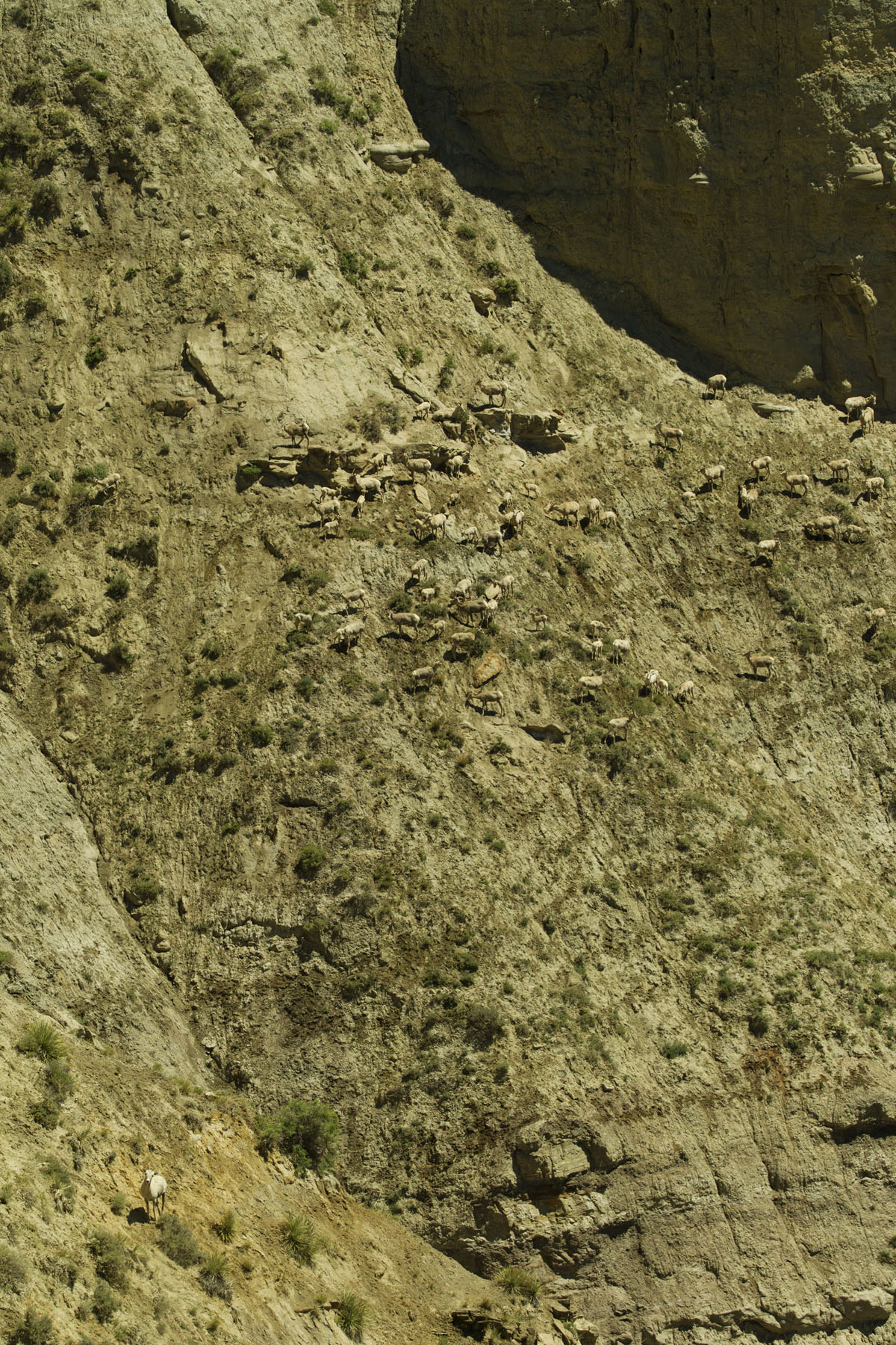 PN Ranch property picture 62 of 184