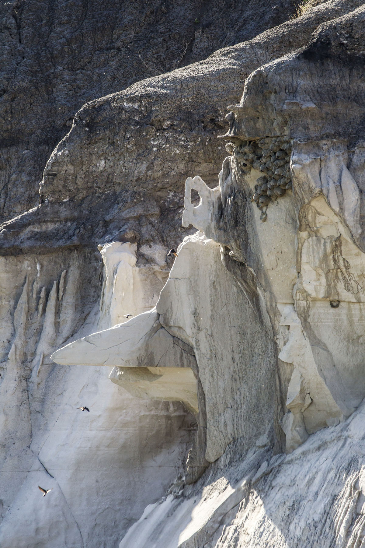 PN Ranch property picture 59 of 184