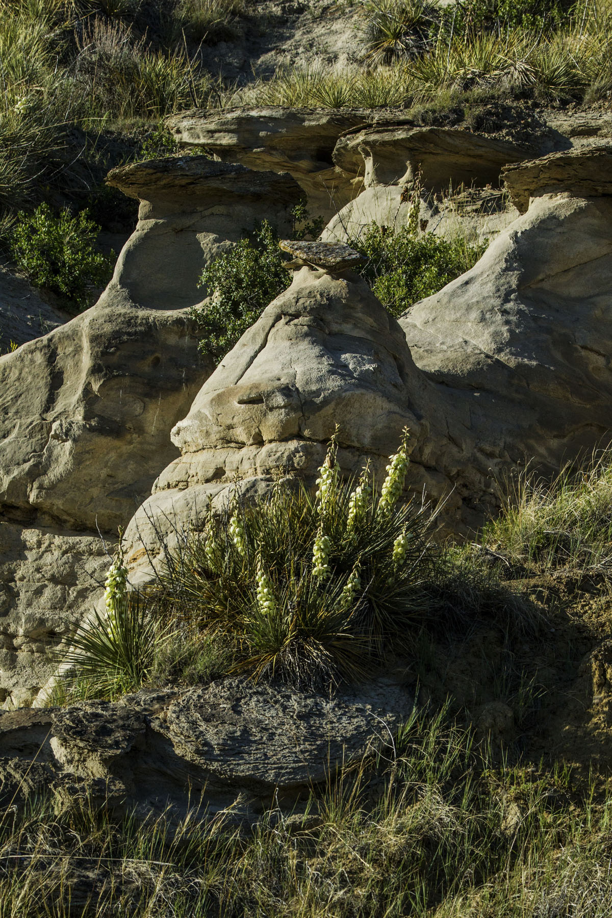 PN Ranch property picture 58 of 184