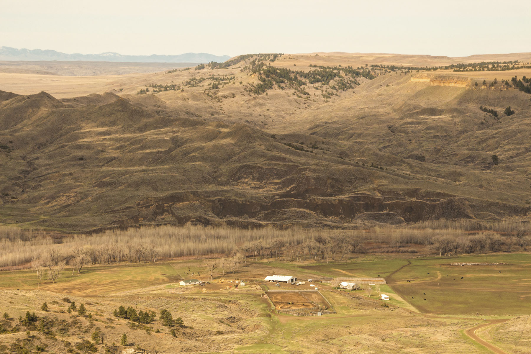 PN Ranch property picture 53 of 184