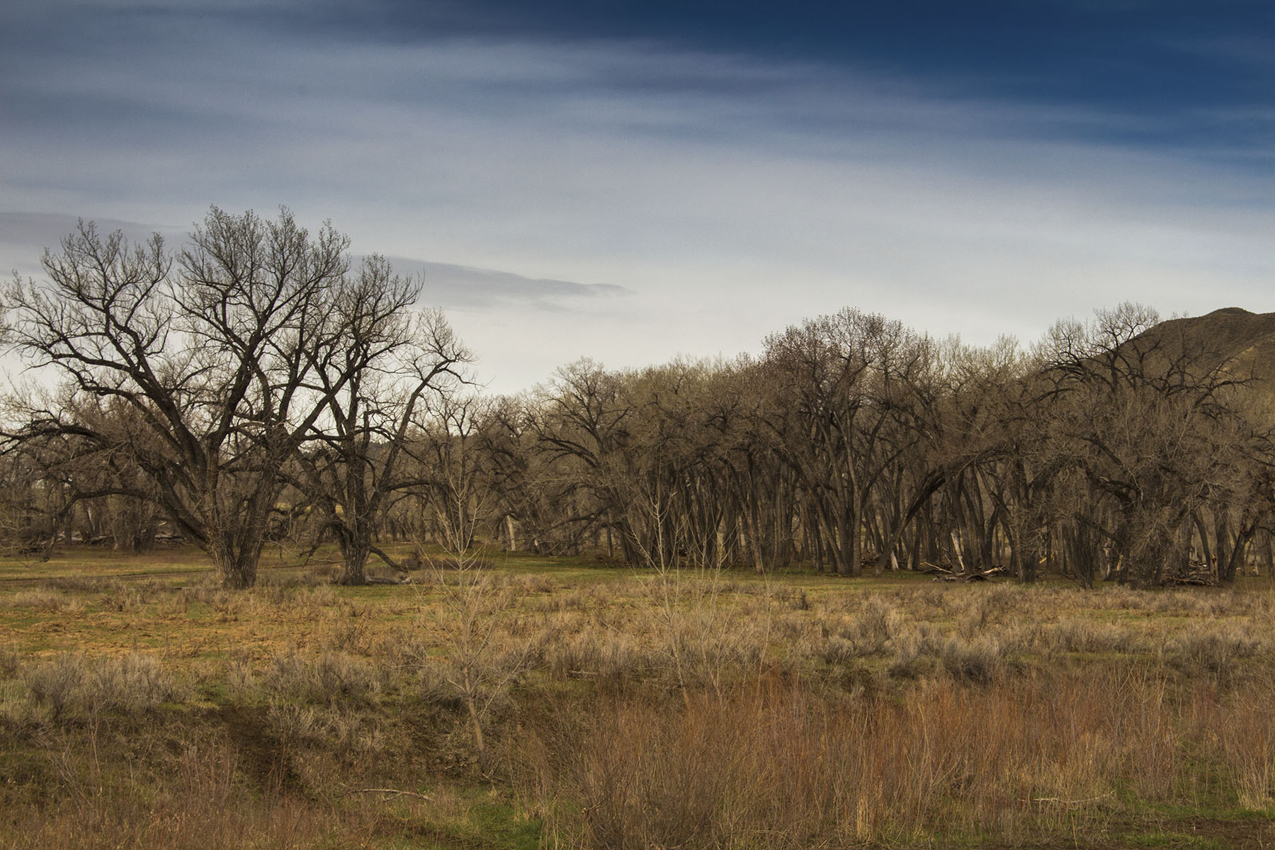 PN Ranch property picture 49 of 184