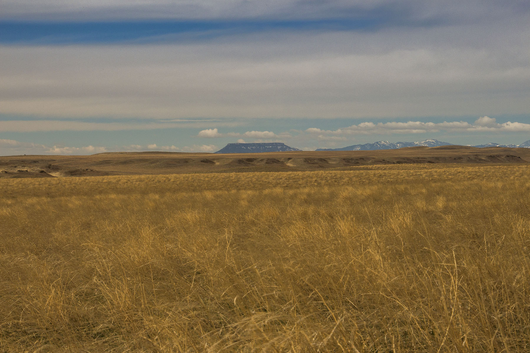 PN Ranch property picture 47 of 184