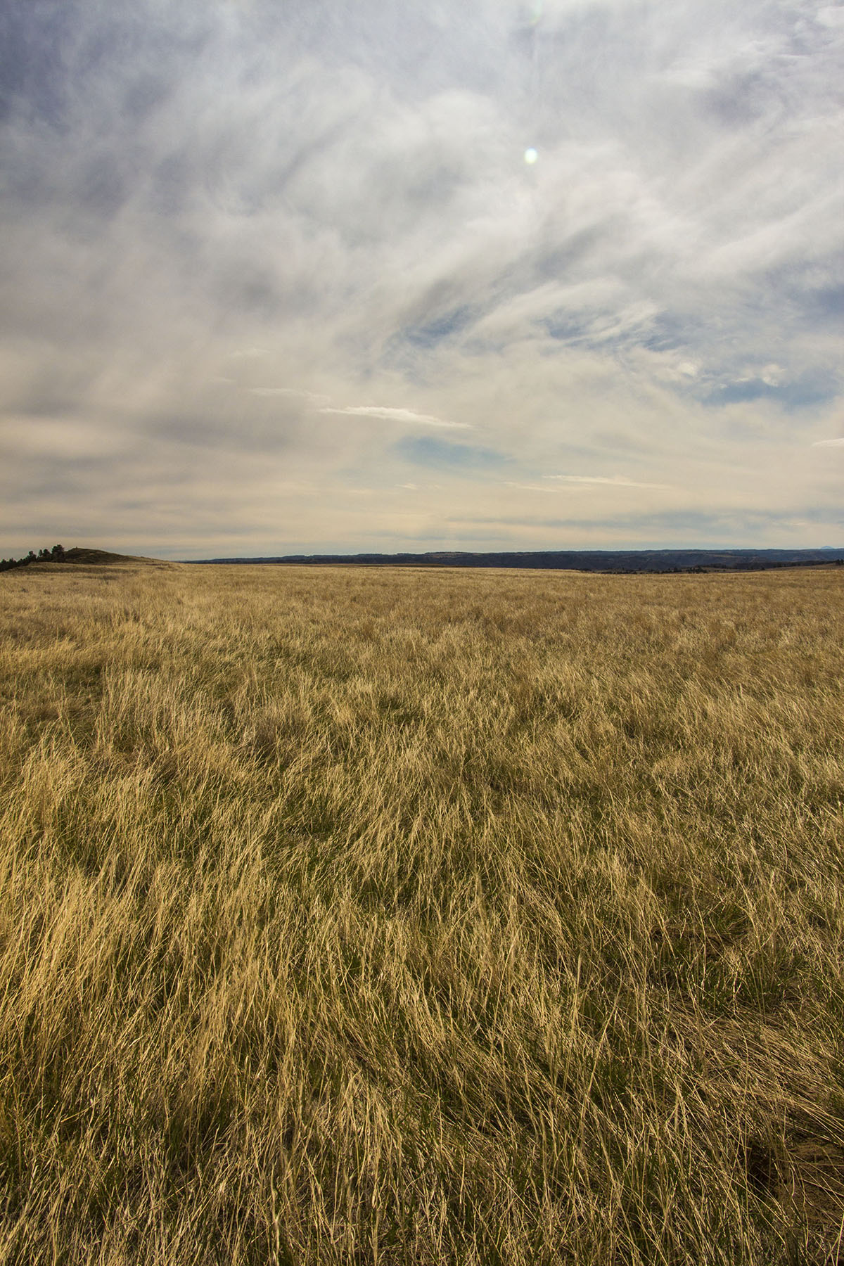 PN Ranch property picture 46 of 184
