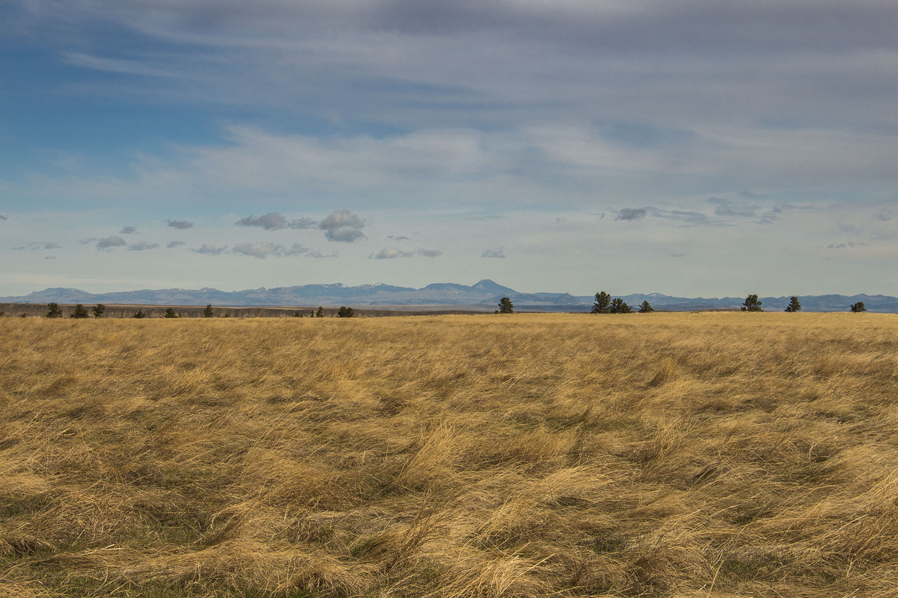 PN Ranch property picture 44 of 184