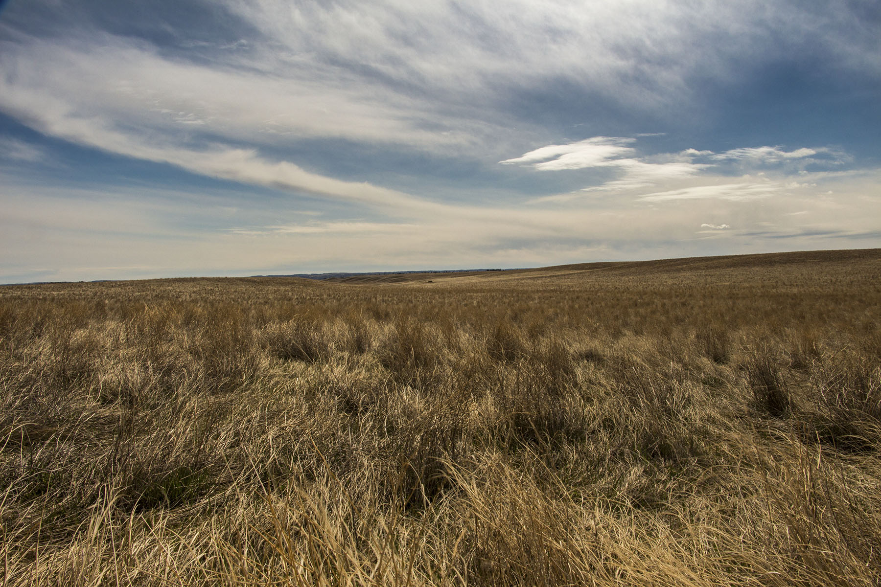 PN Ranch property picture 42 of 184