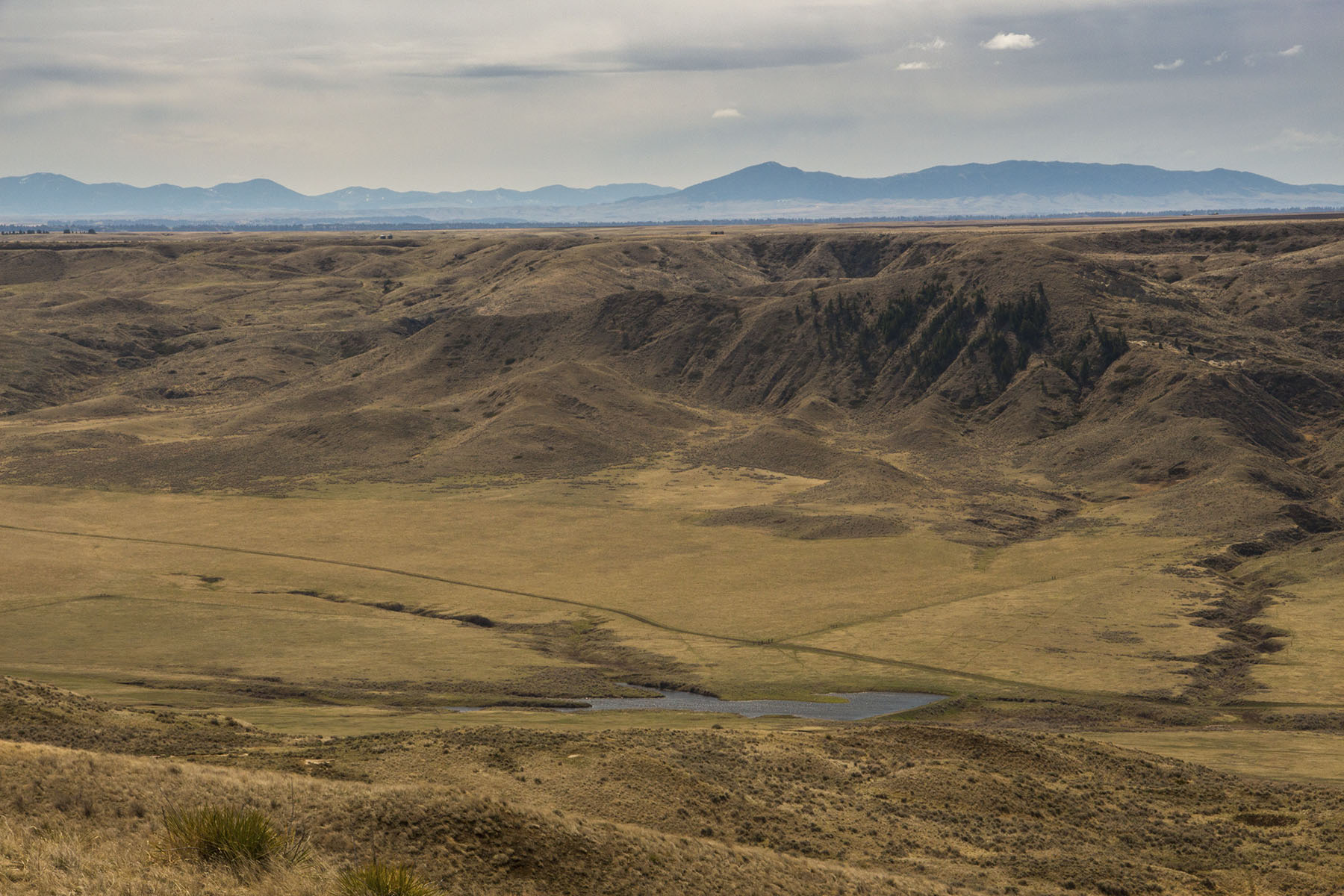 PN Ranch property picture 41 of 184