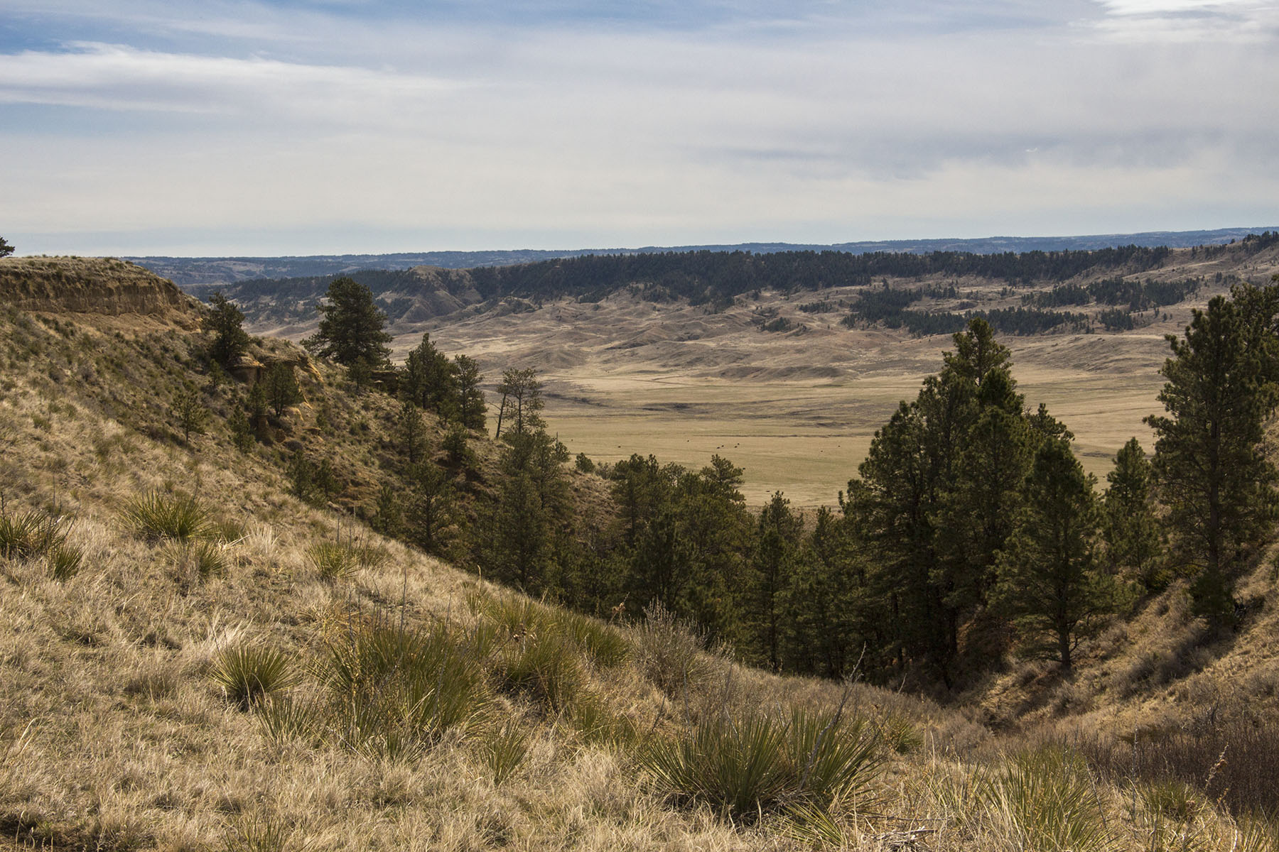 PN Ranch property picture 39 of 184
