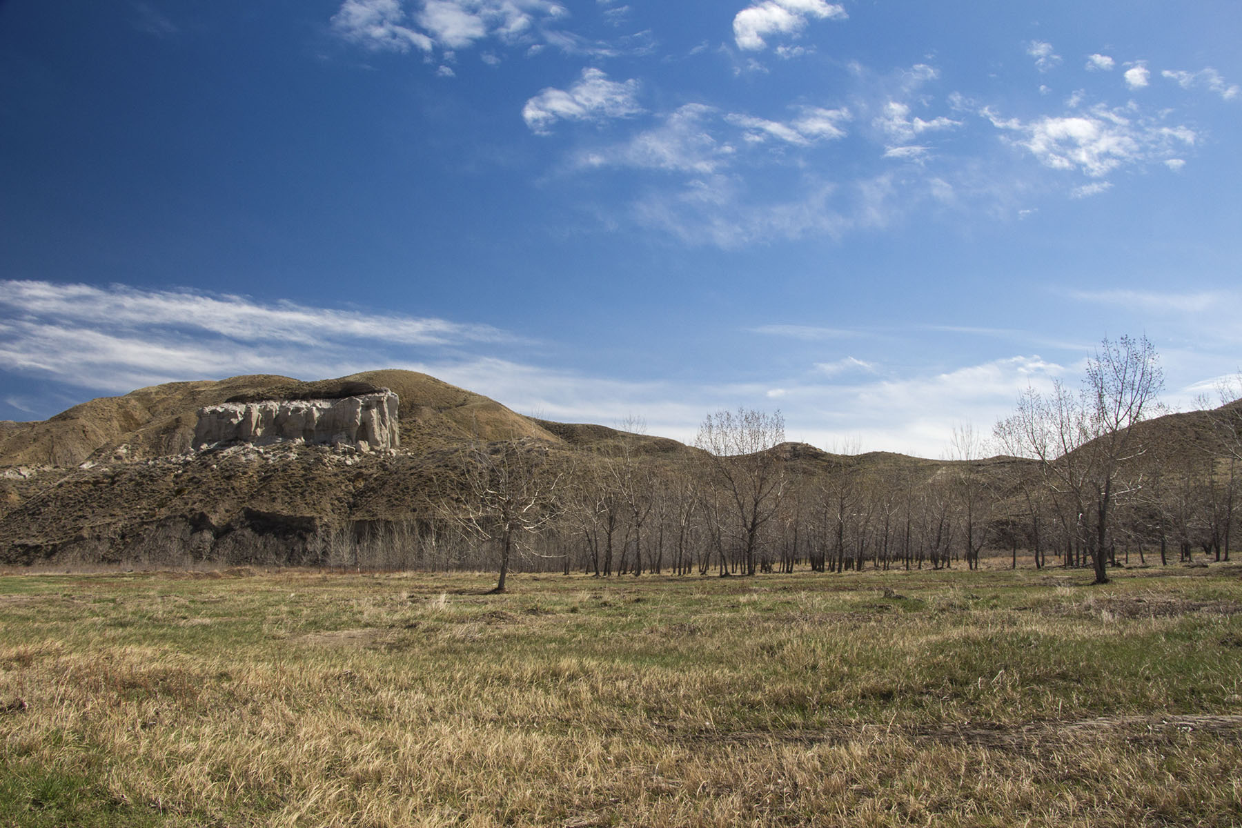 PN Ranch property picture 36 of 184