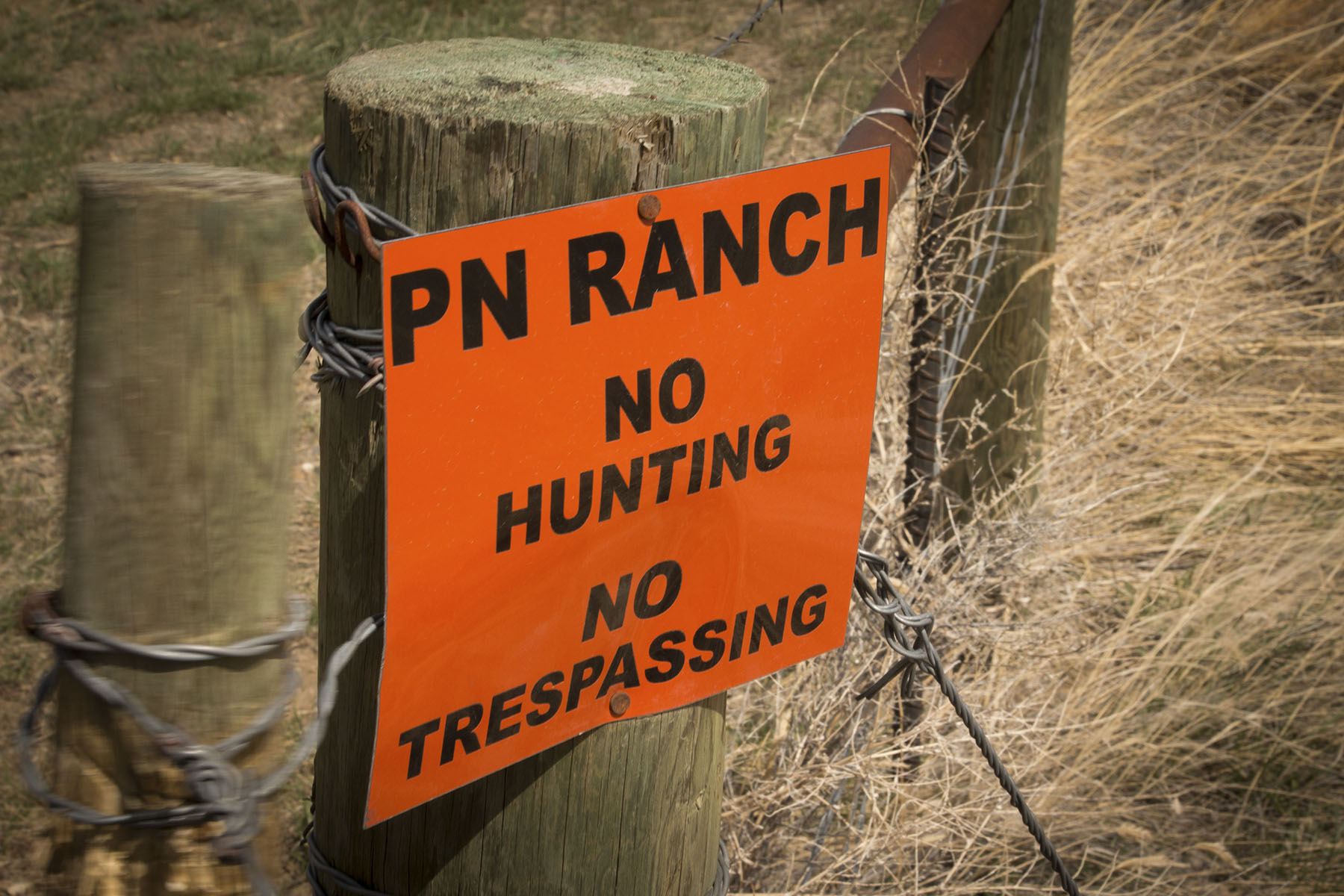 PN Ranch property picture 33 of 184