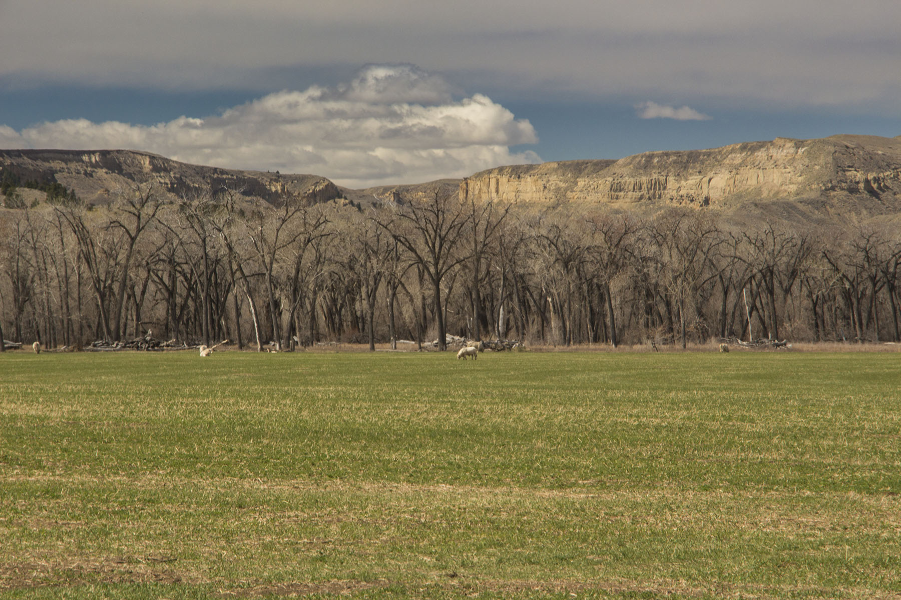 PN Ranch property picture 31 of 184