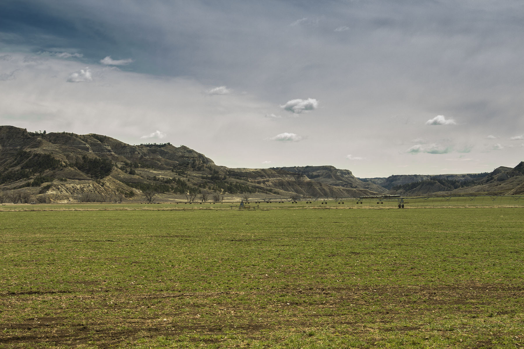 PN Ranch property picture 25 of 184