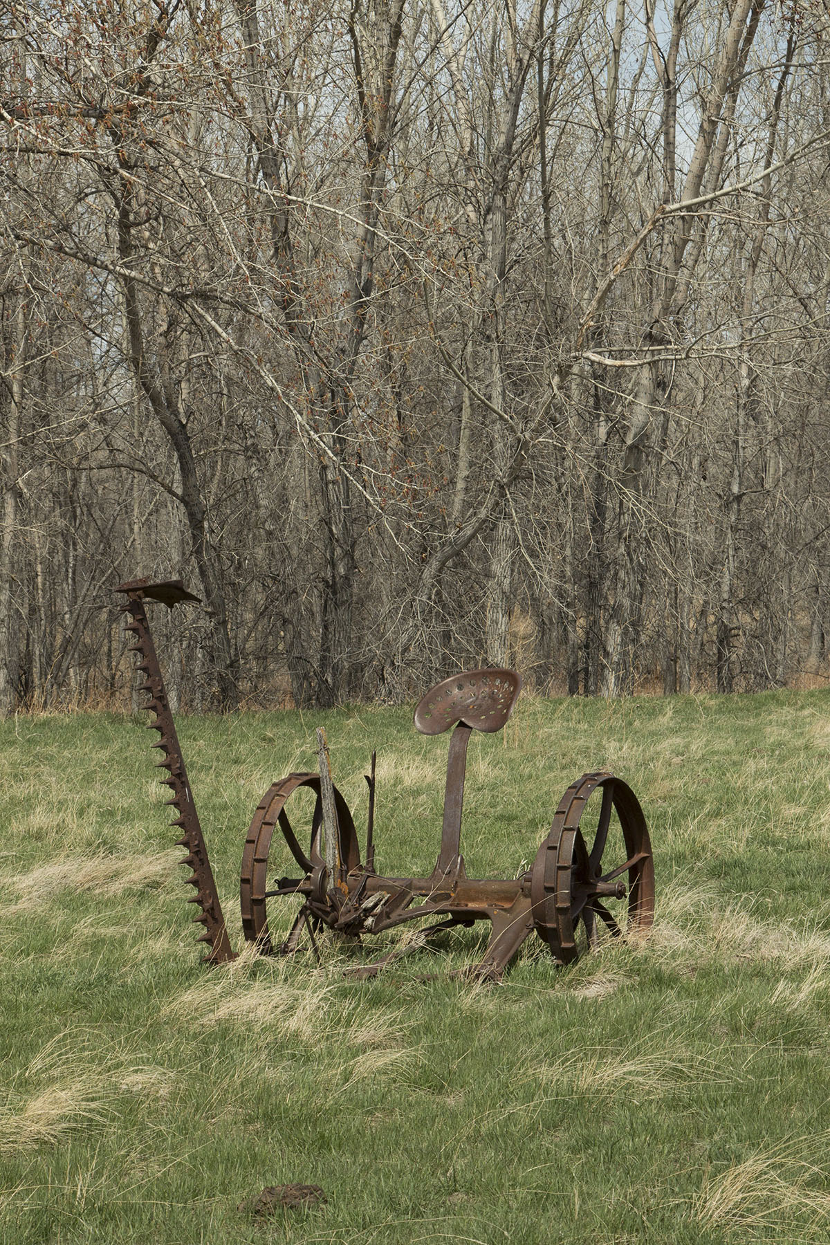 PN Ranch property picture 19 of 184