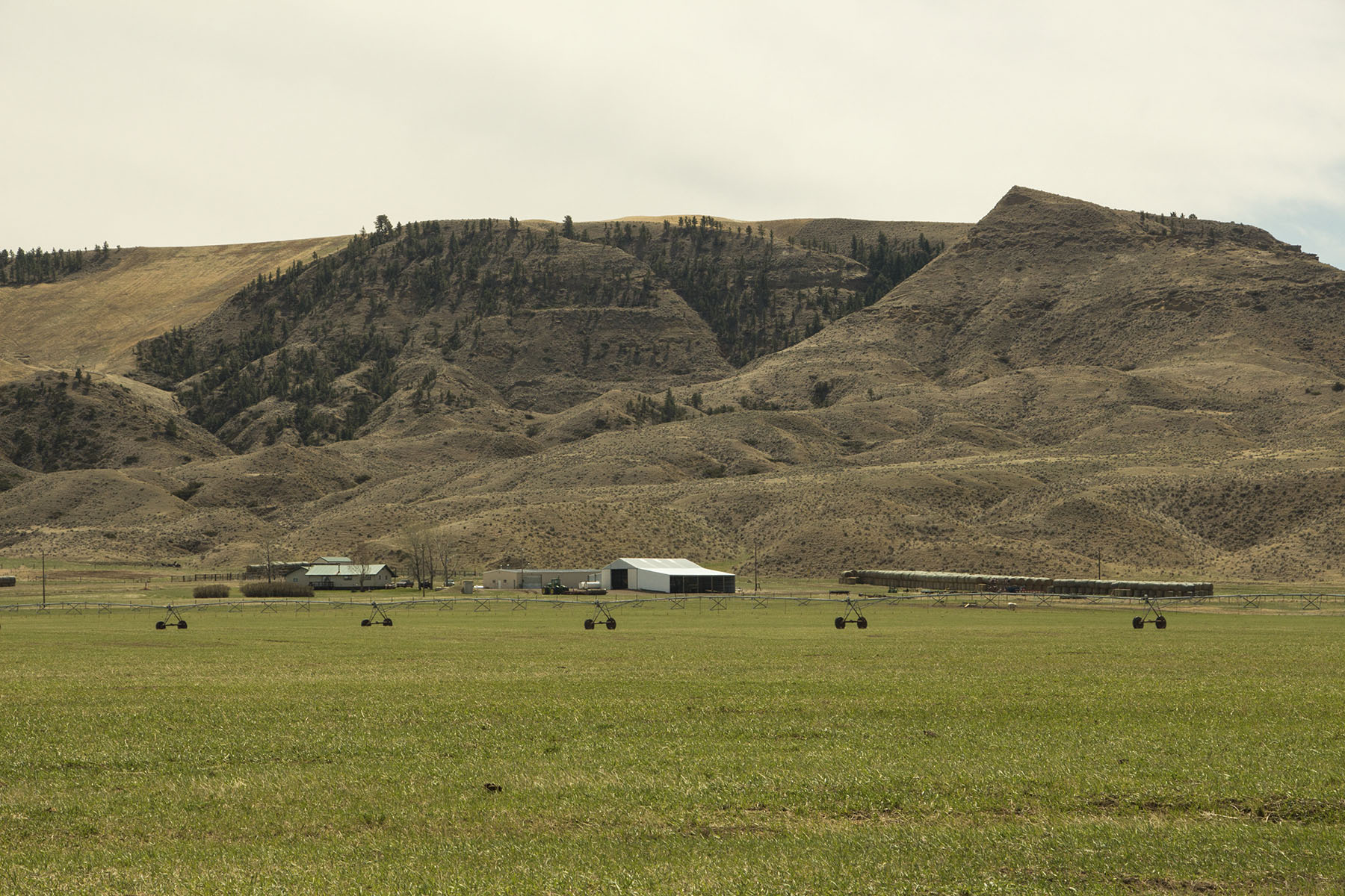 PN Ranch property picture 16 of 184