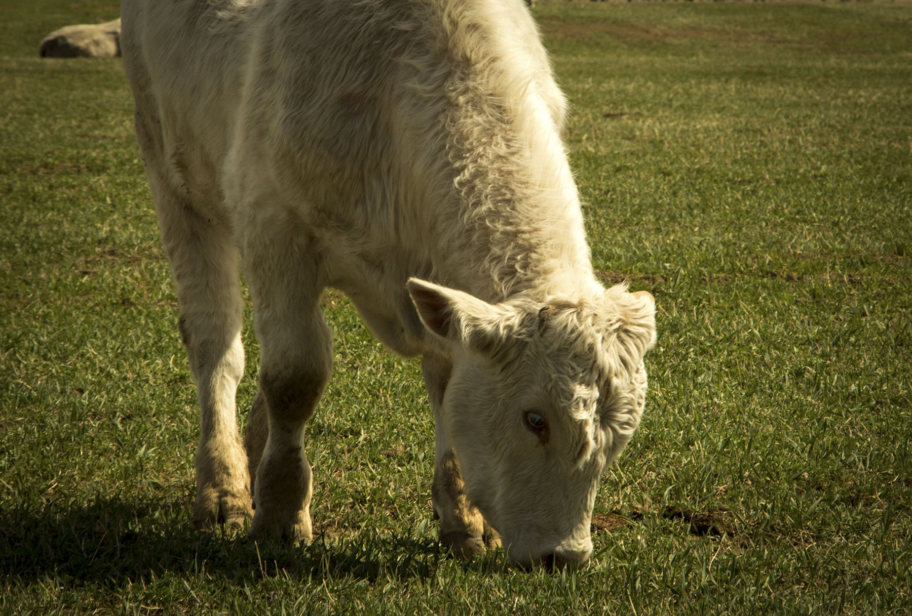 PN Ranch property picture 15 of 184