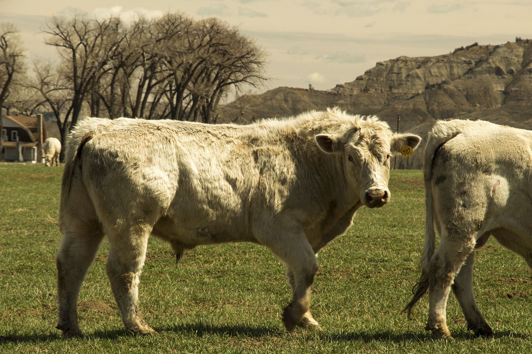 PN Ranch property picture 14 of 184