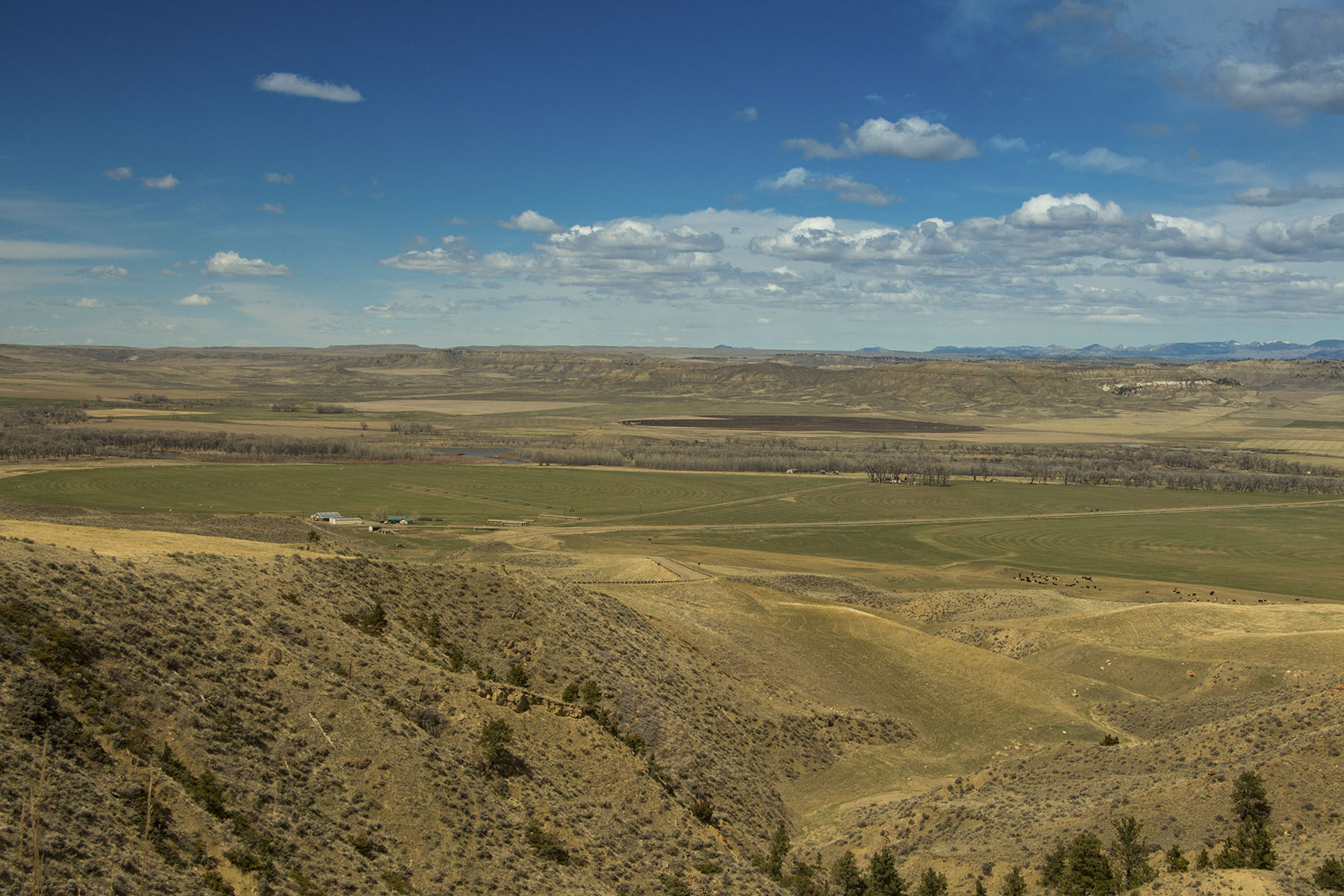 PN Ranch property picture 3 of 184