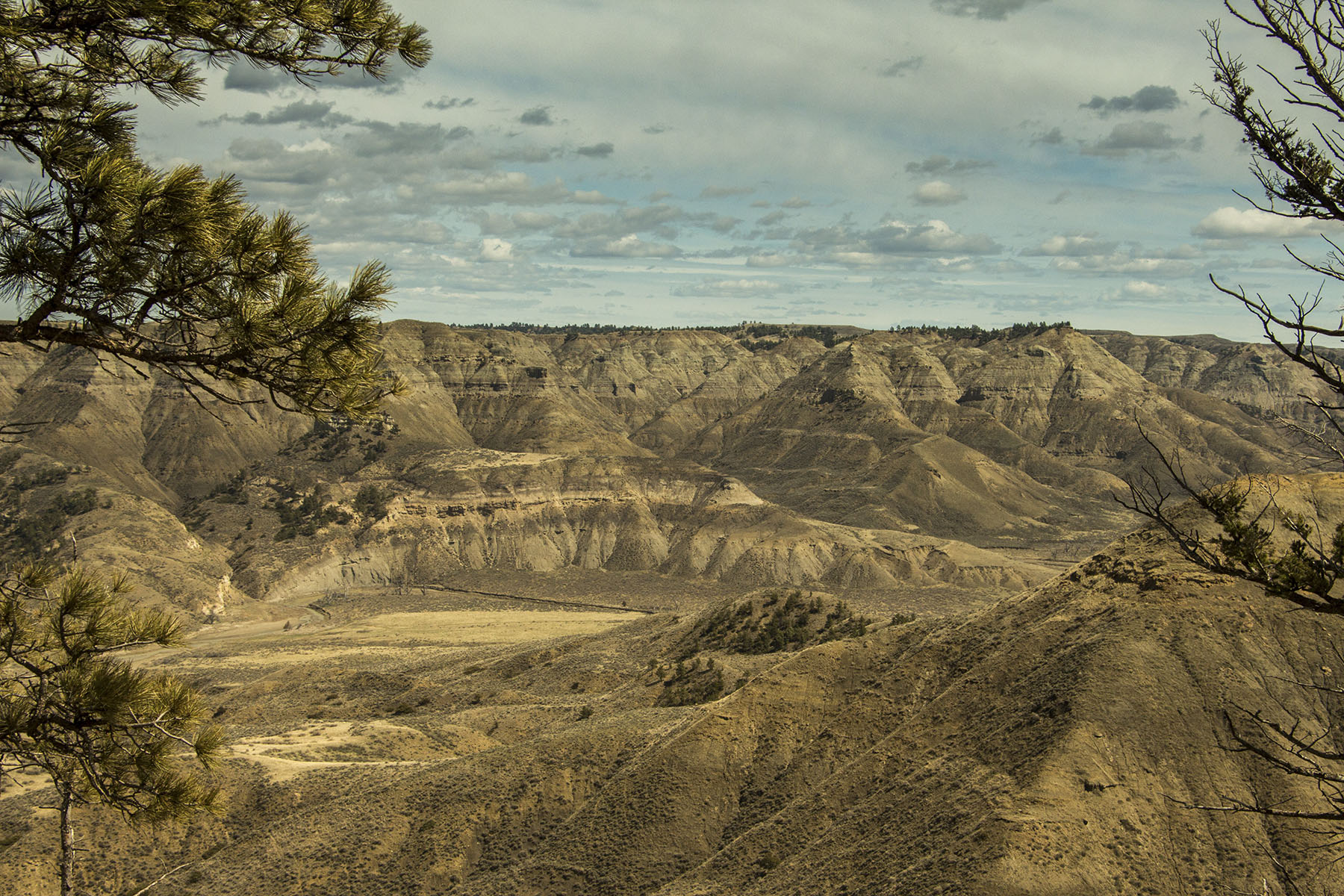 PN Ranch property picture 7 of 184