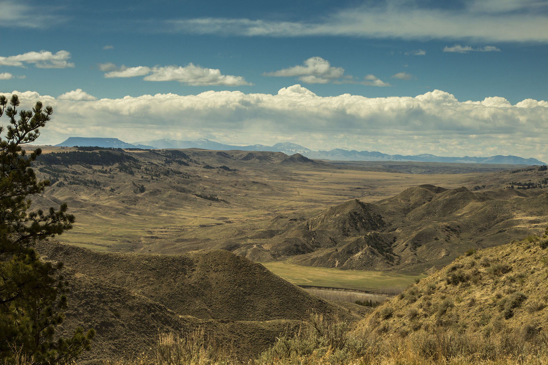 PN Ranch property picture 6 of 184