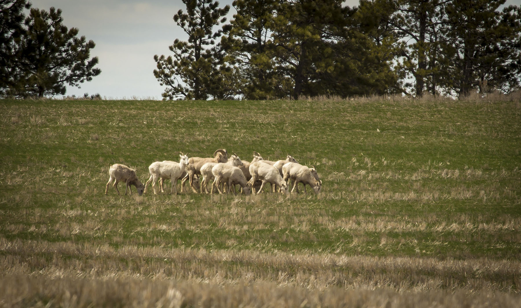 PN Ranch property picture 5 of 184