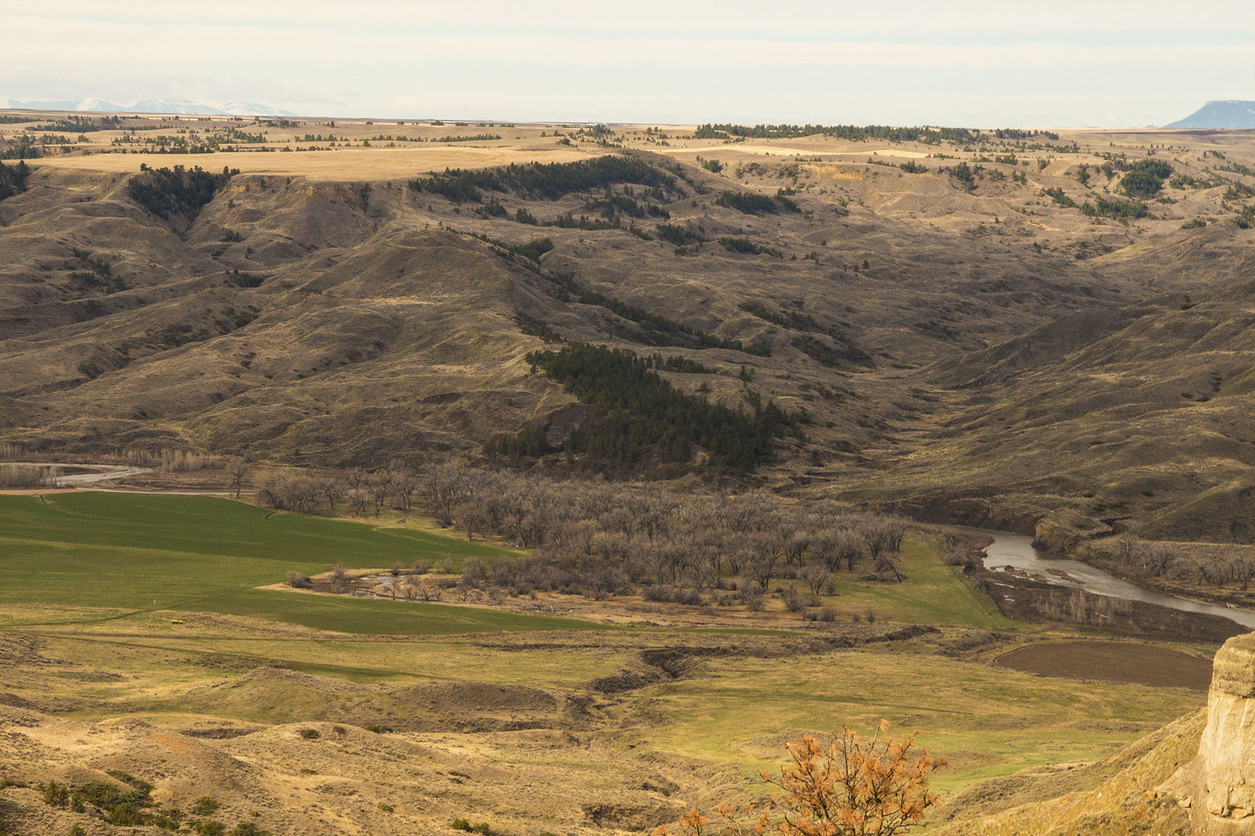 PN Ranch property picture 182 of 184