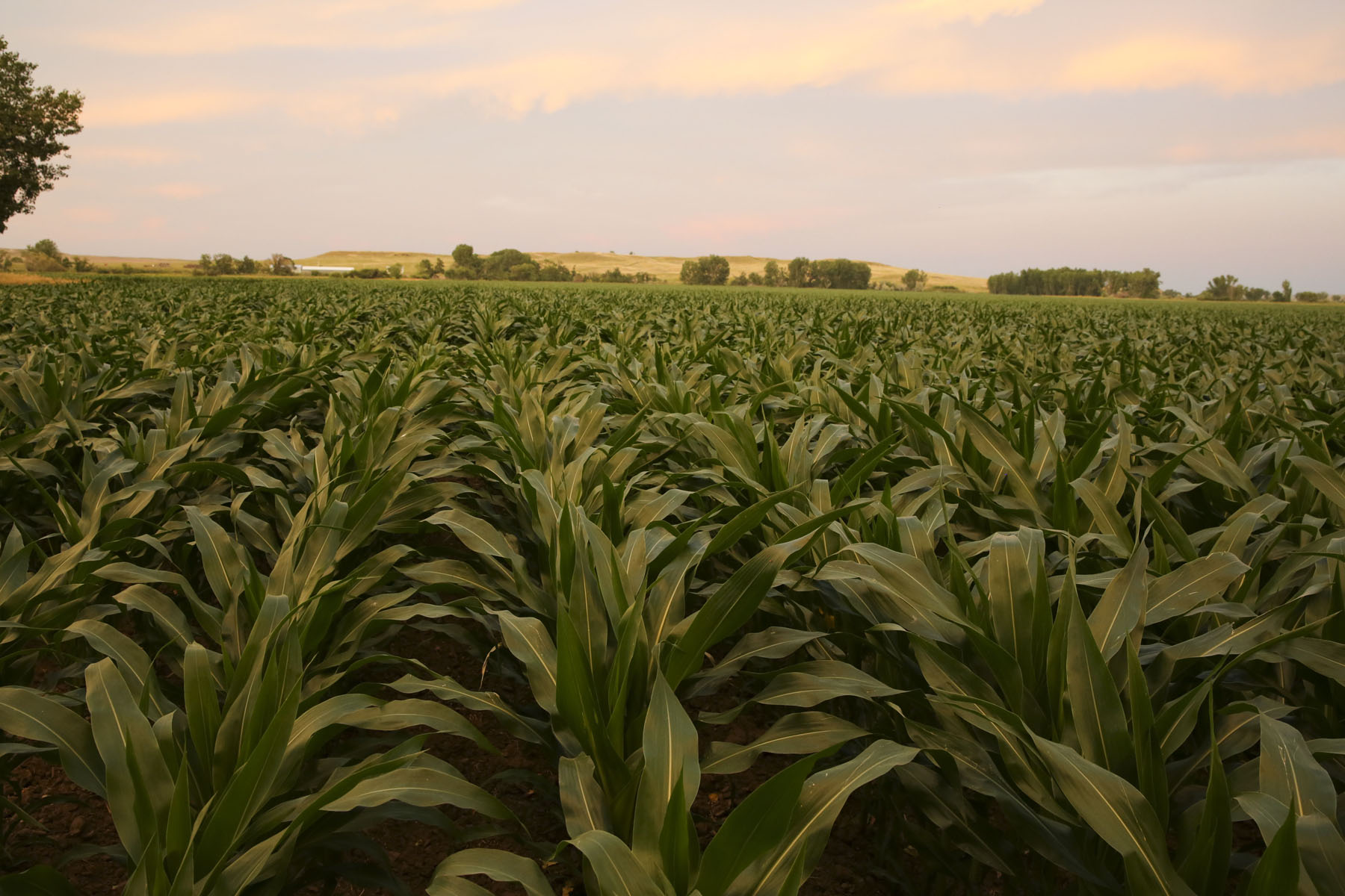 Tongue River Ranch Sold Montana Hall and Hall
