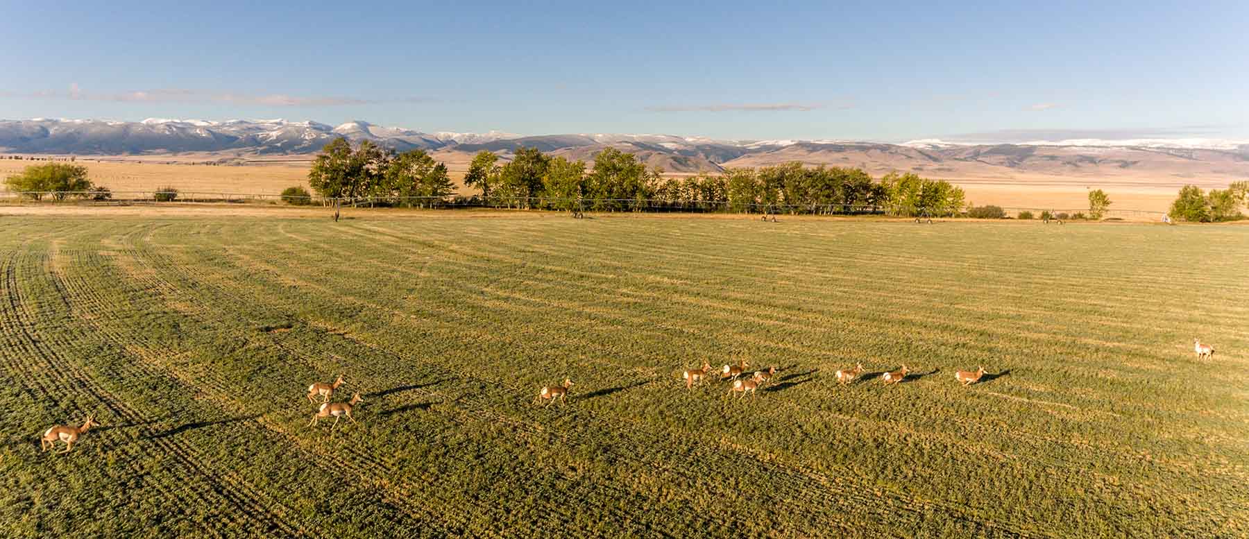 Black Mountain Ranch property picture 13 of 69