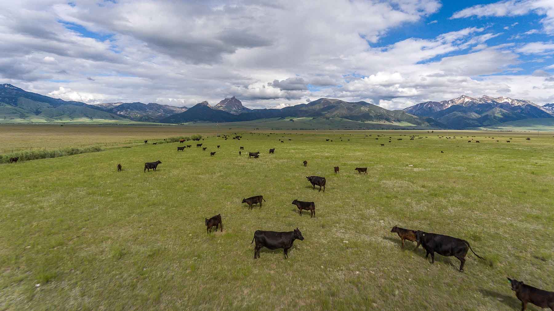 Black Mountain Ranch property picture 5 of 69