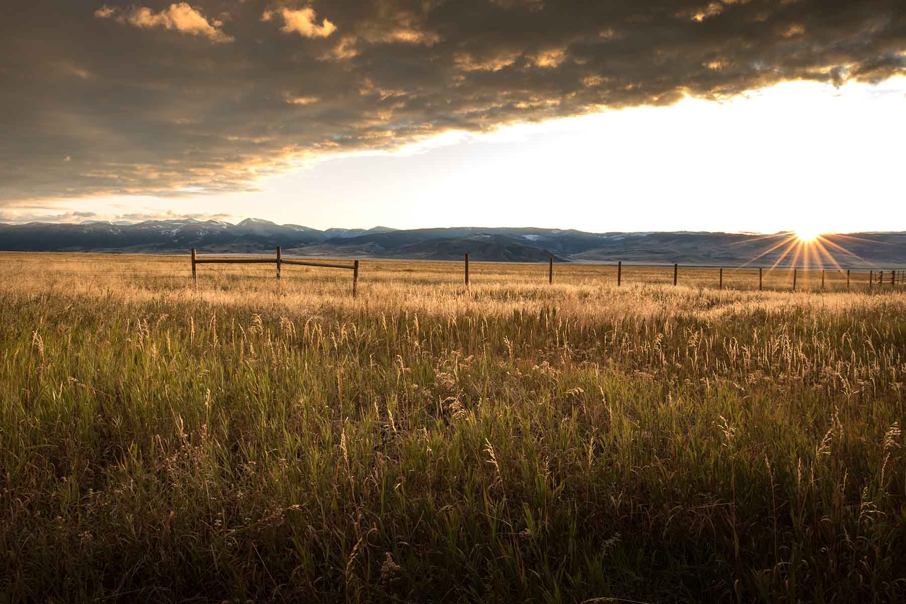 Black Mountain Ranch property picture 56 of 69