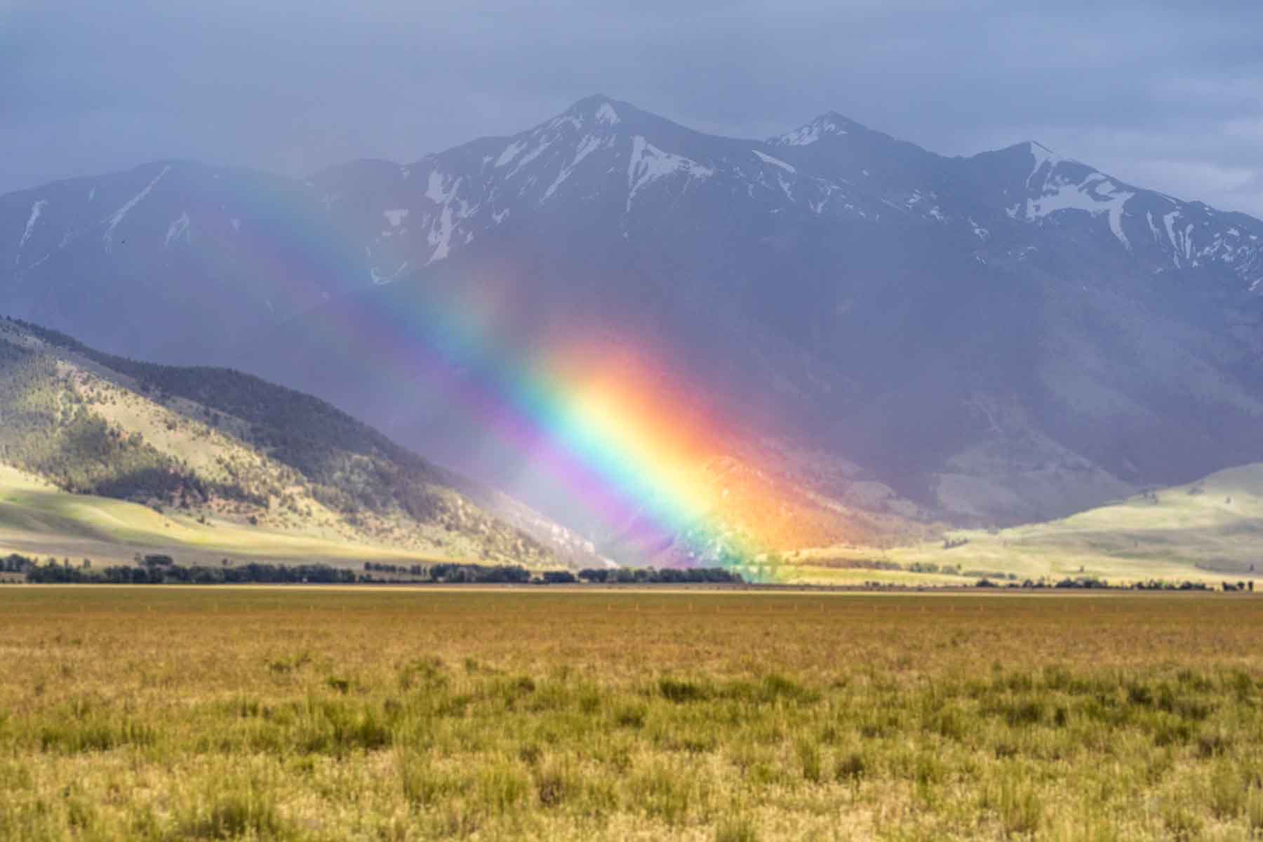 Black Mountain Ranch property picture 58 of 69