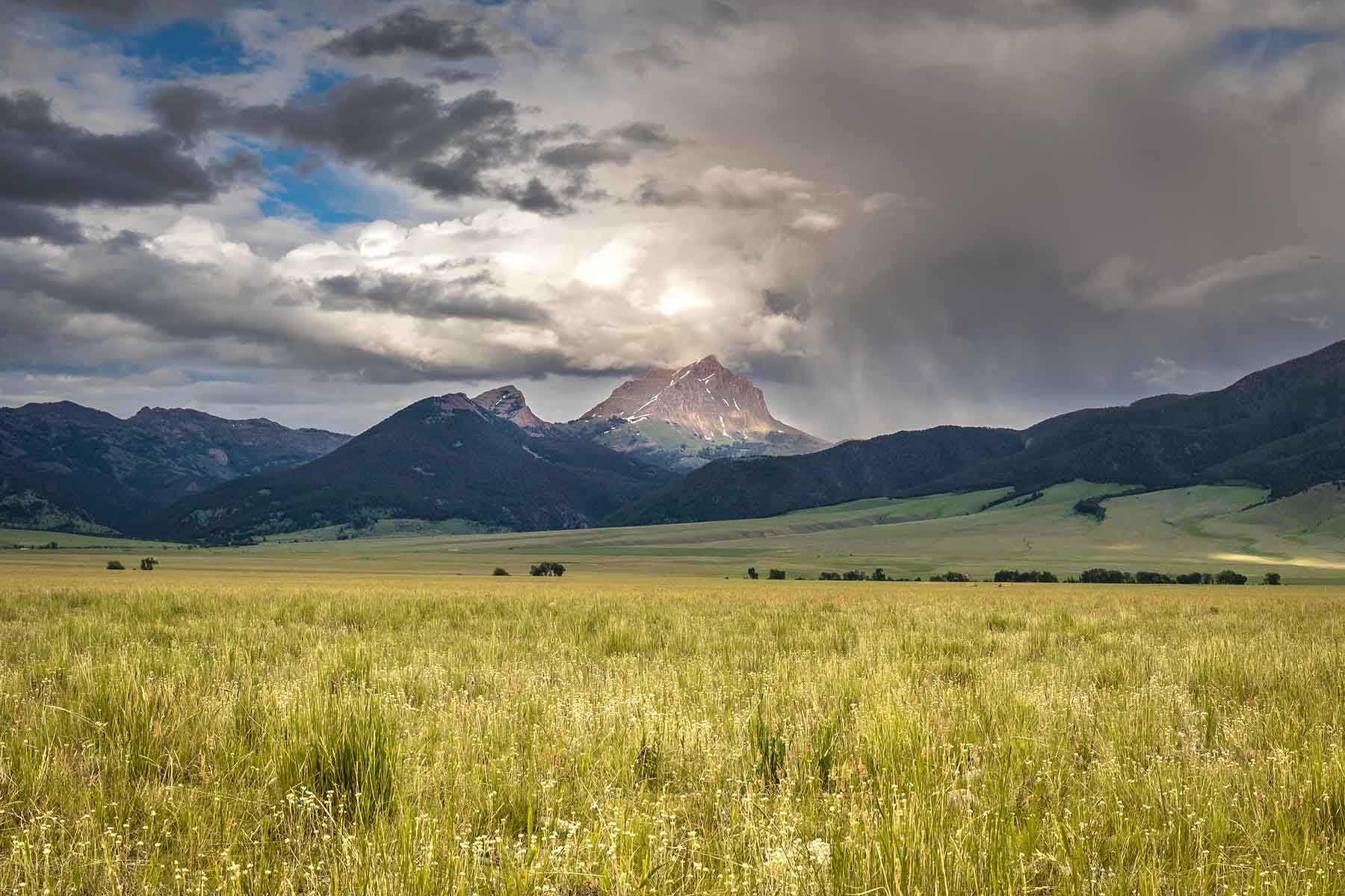 Black Mountain Ranch property picture 66 of 69