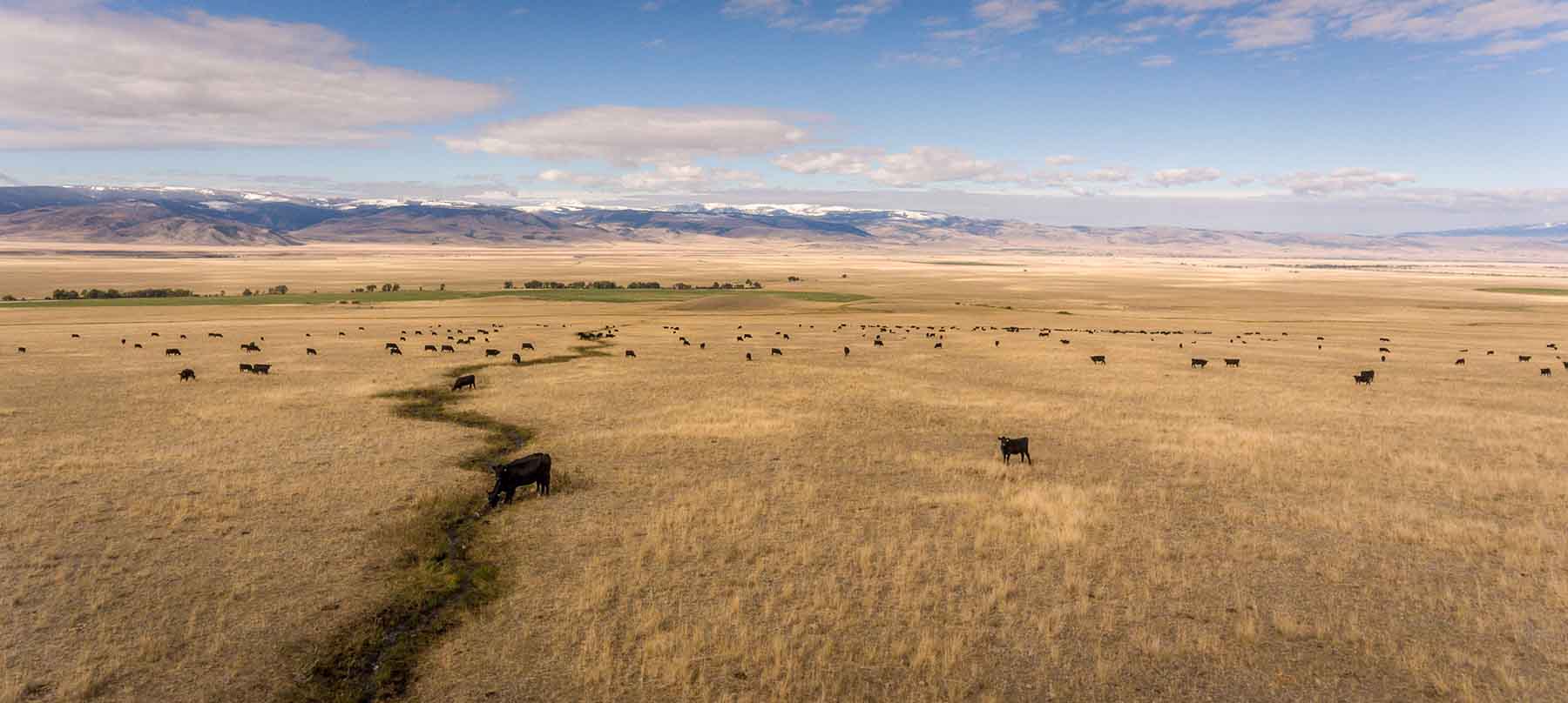 Black Mountain Ranch property picture 12 of 69