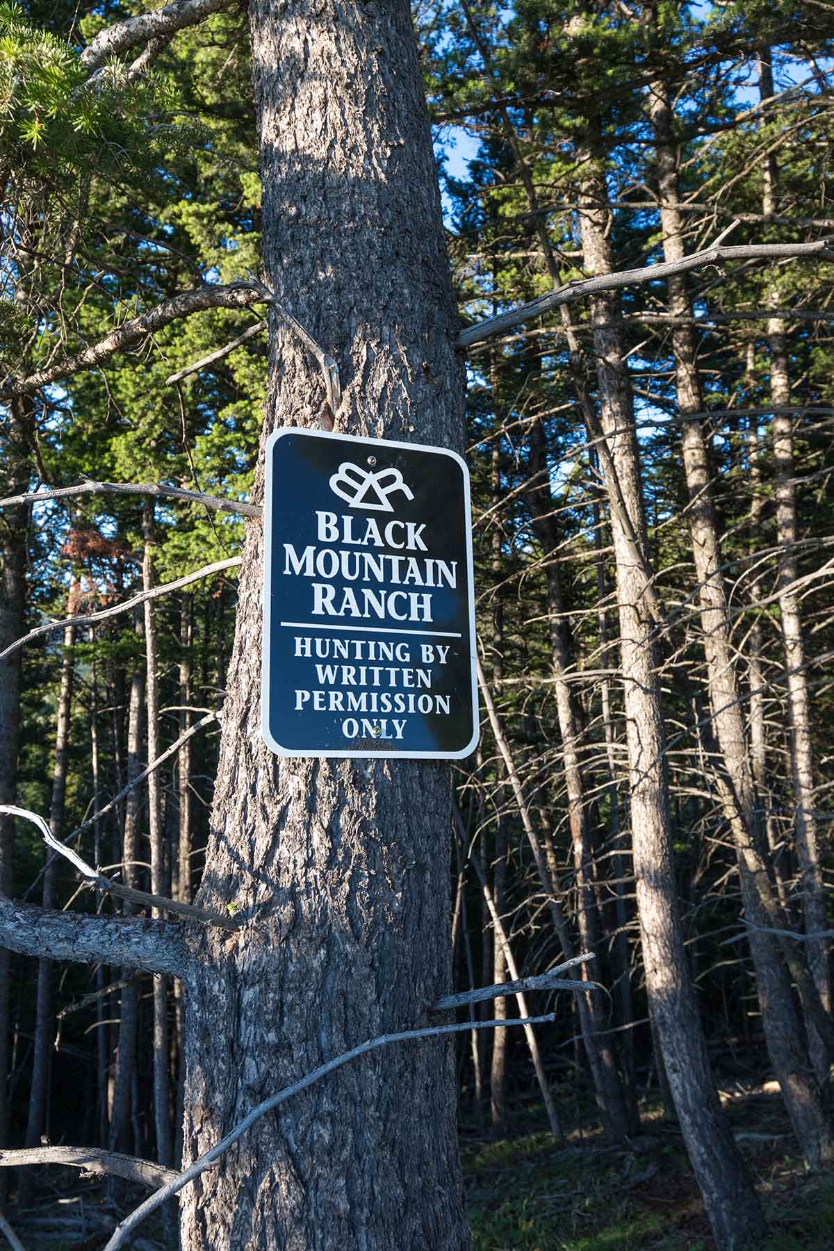 Black Mountain Ranch property picture 51 of 69