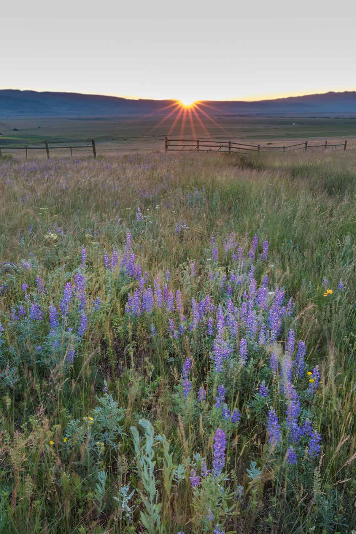 Black Mountain Ranch property picture 52 of 69