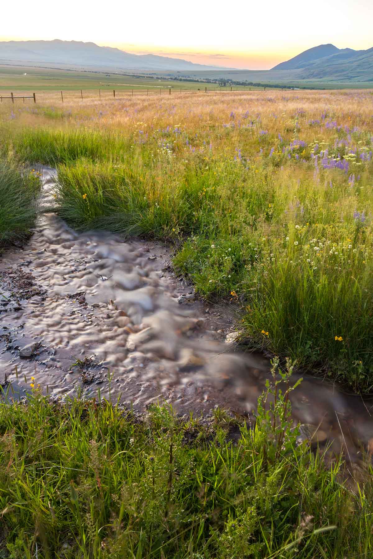 Black Mountain Ranch property picture 6 of 69