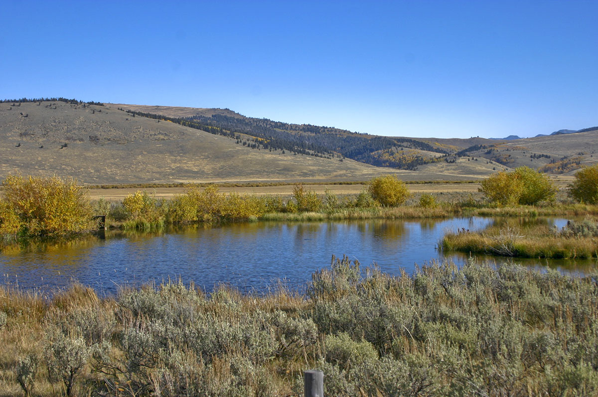 Peregrine Ranch property picture 7 of 10