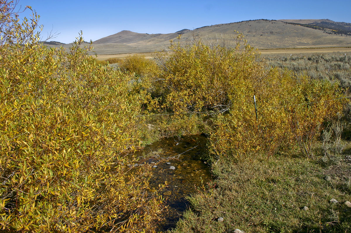 Peregrine Ranch property picture 6 of 10