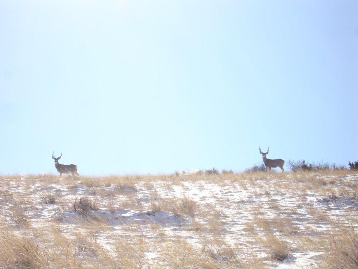 Circle T Ranch property picture 6 of 9