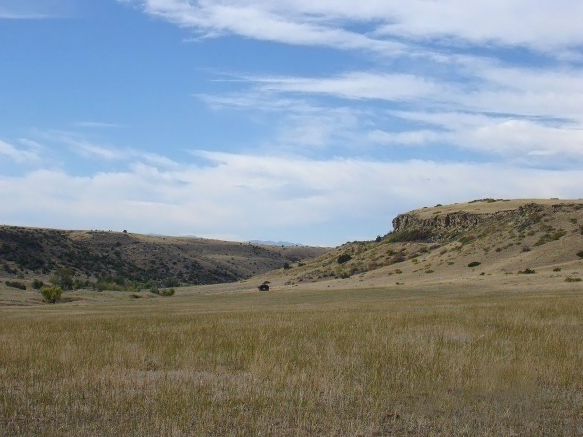 Circle T Ranch property picture 7 of 9