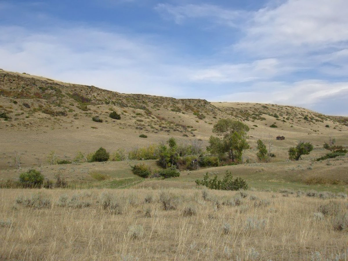 Circle T Ranch property picture 3 of 9