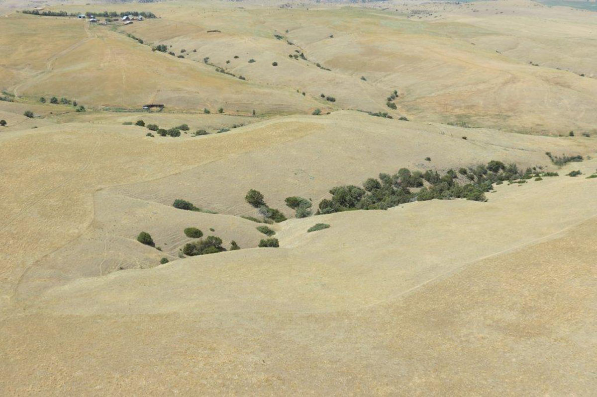 Circle T Ranch property picture 9 of 9