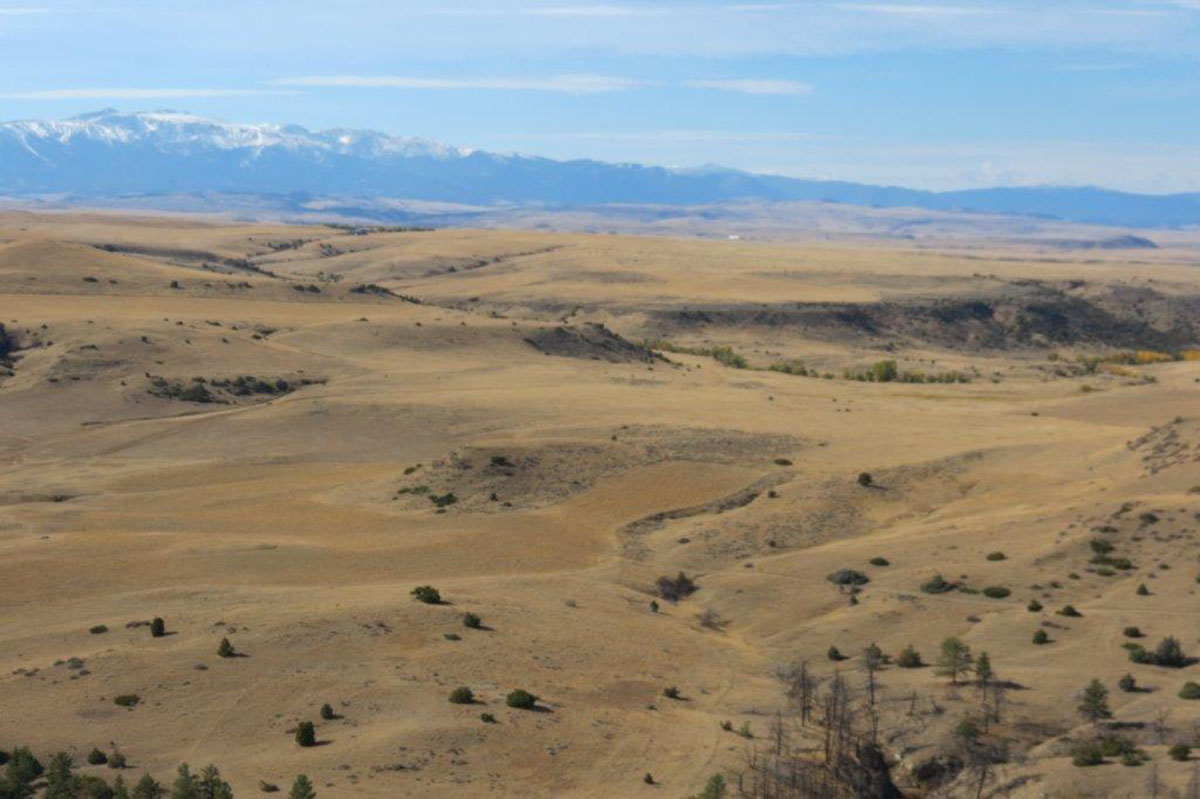 Circle T Ranch property picture 5 of 9