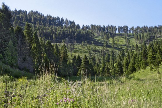 Greyson Creek Ranch property picture 2 of 6