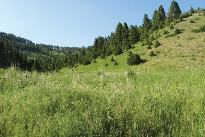 Greyson Creek Ranch property picture 4 of 6