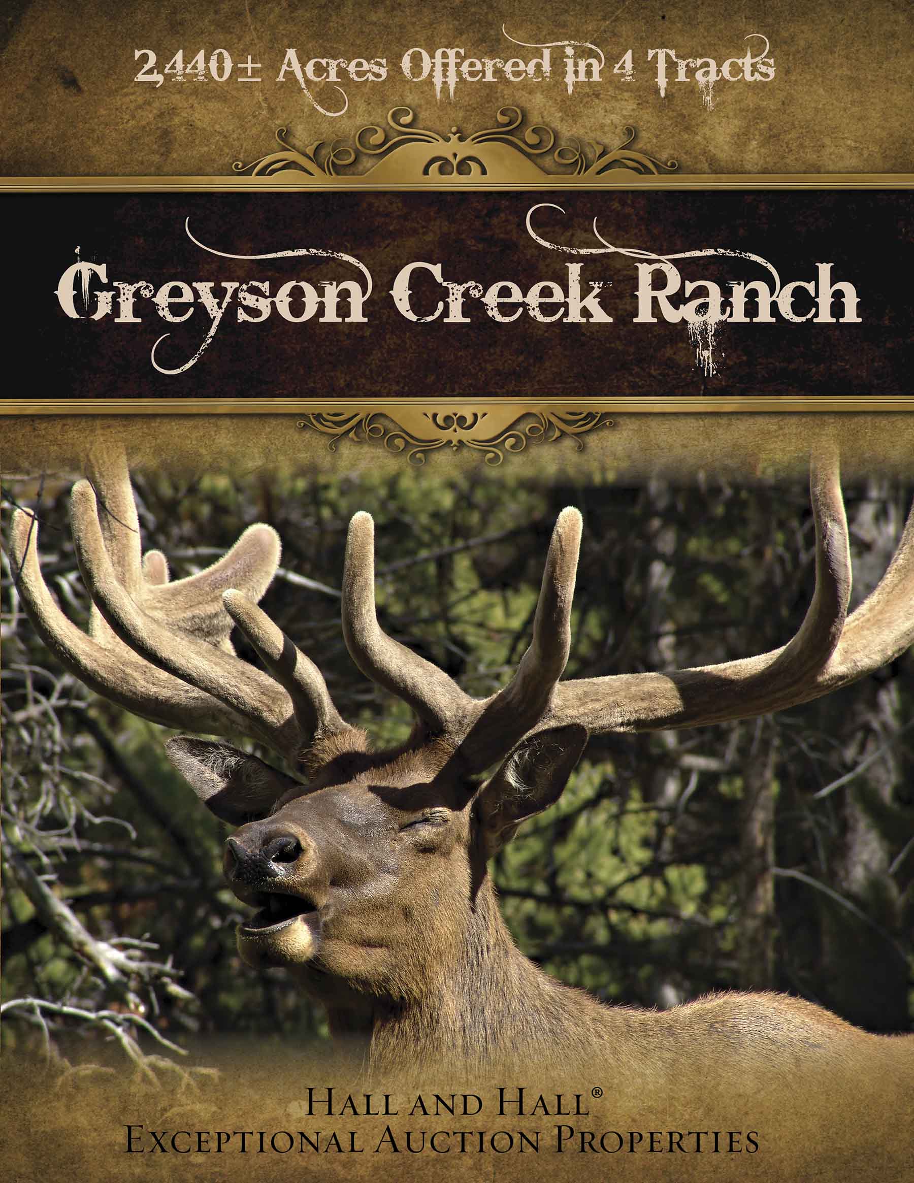 Greyson Creek Ranch property picture 3 of 6