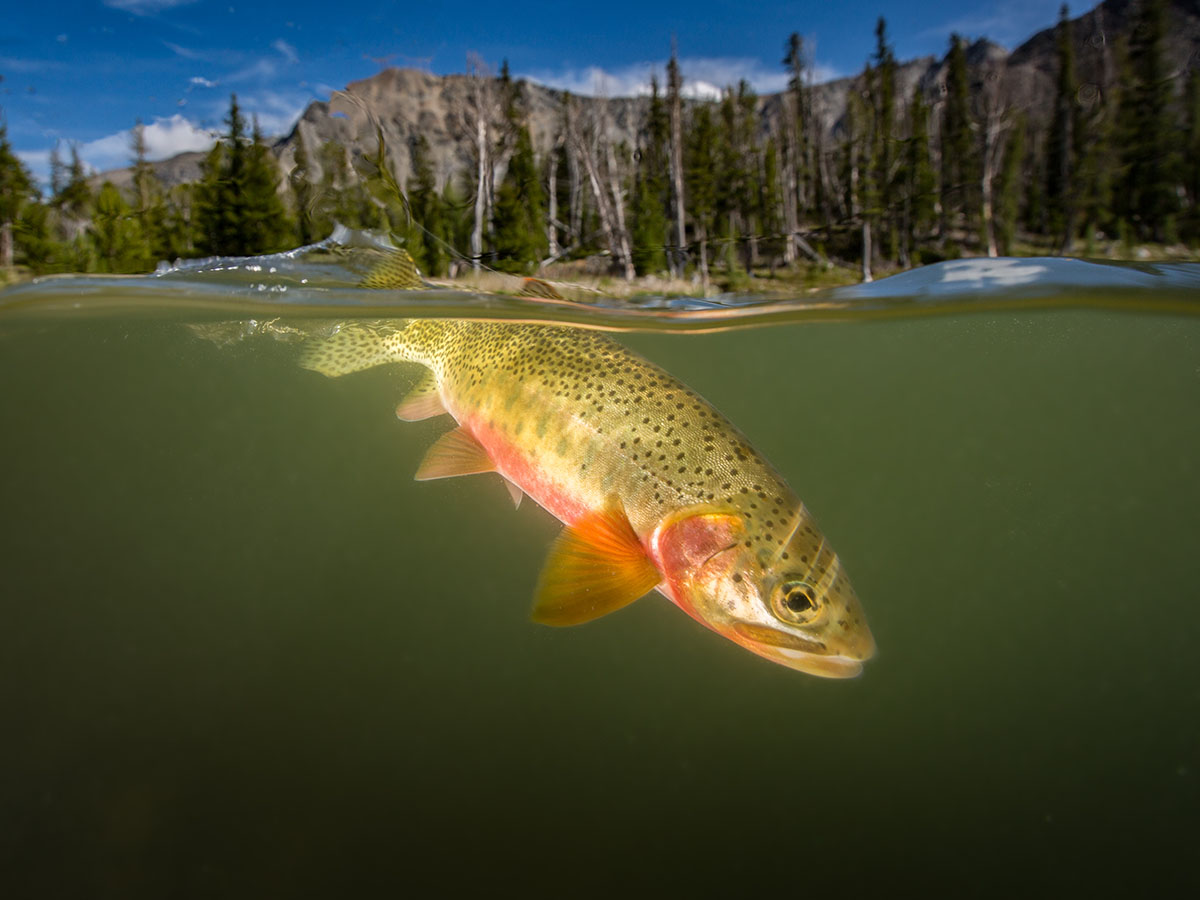 Miller Lake Ranch property picture 10 of 18