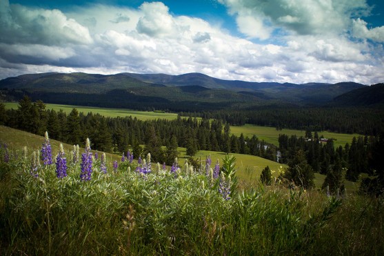 Buffalo Trail Ranch property picture 1 of 1