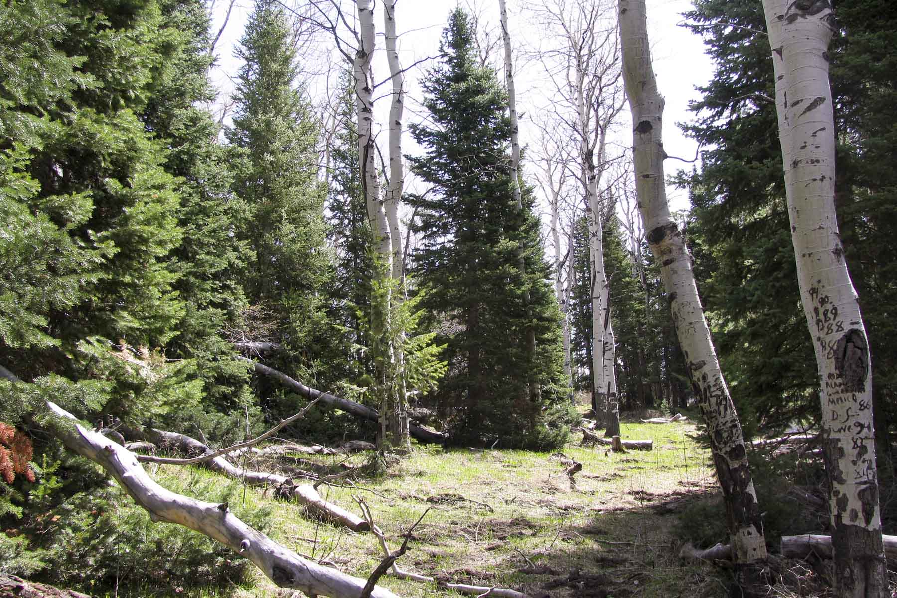 Monument Peak Ranch property picture 4 of 8