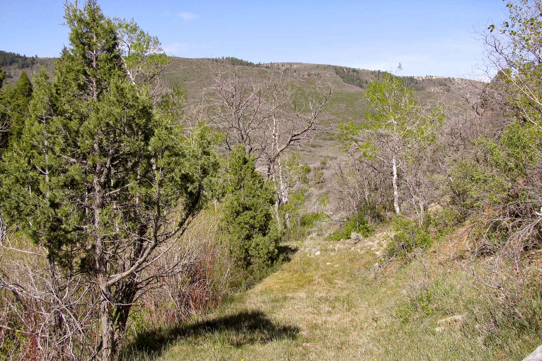 Monument Peak Ranch property picture 5 of 8