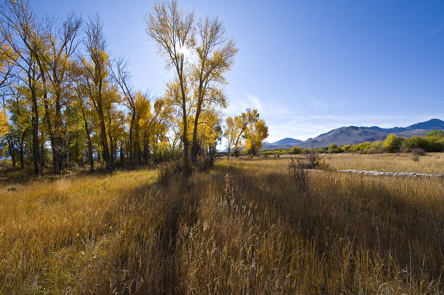 Moose Creek Ranch property picture 9 of 13