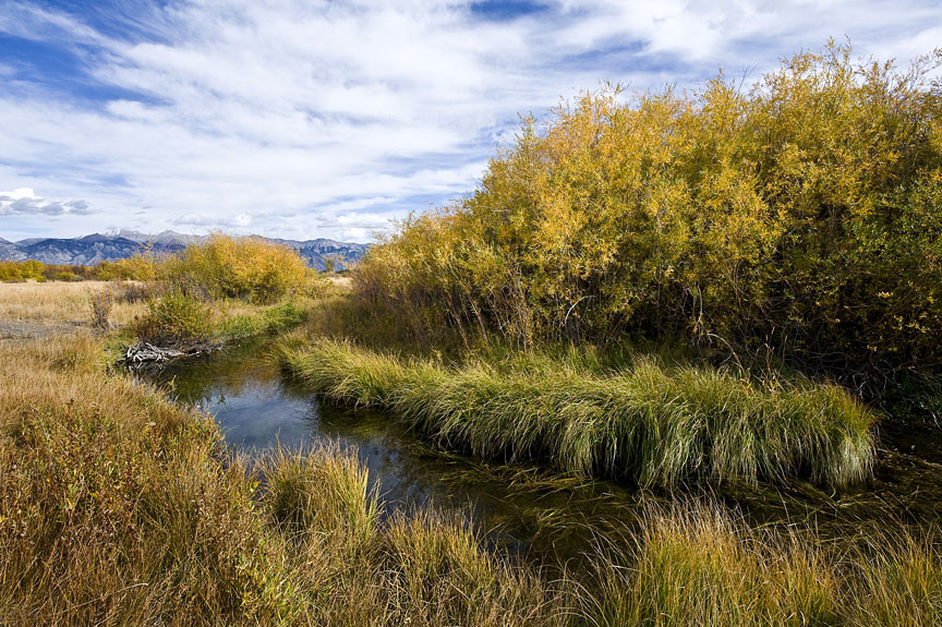 Moose Creek Ranch Sold Idaho Hall and Hall